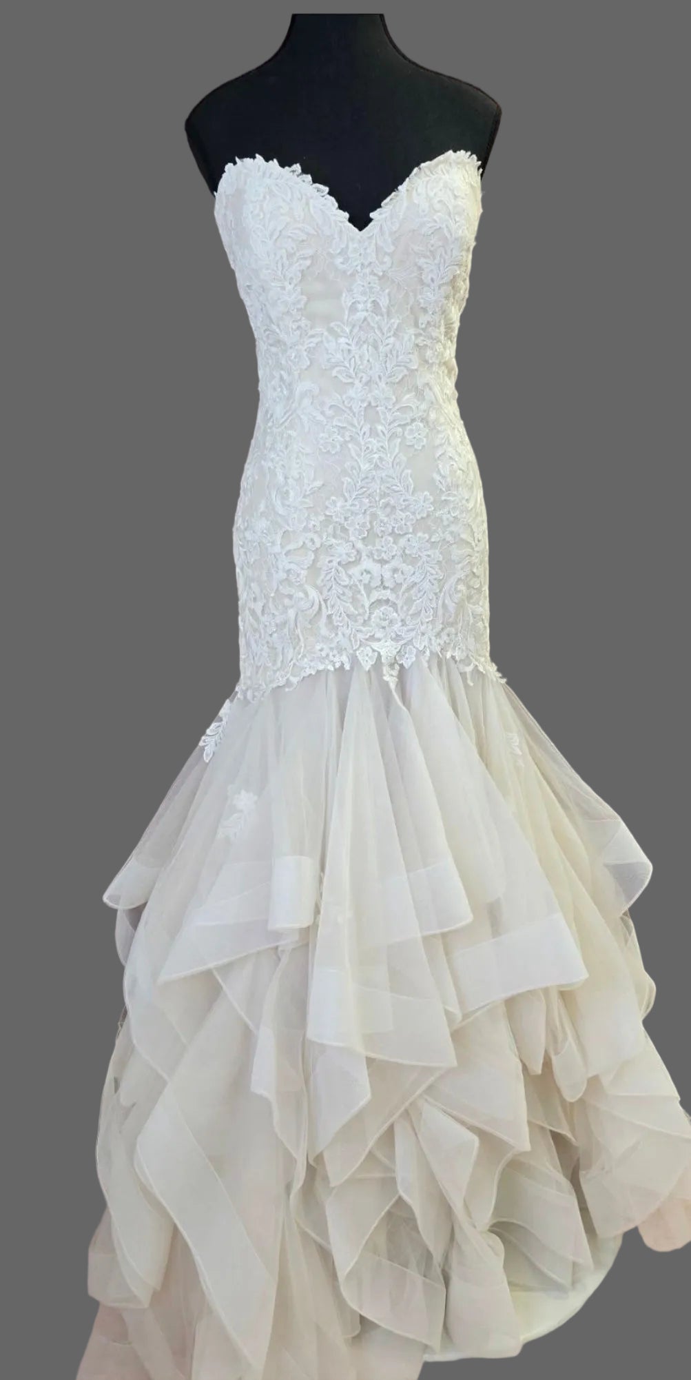 Jasmine: T202006 Size 14